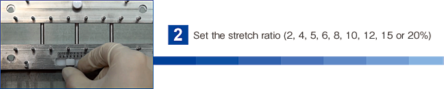 Set the stretch ratio (2, 4, 5, 6, 8, 10, 12, 15 or 20%)