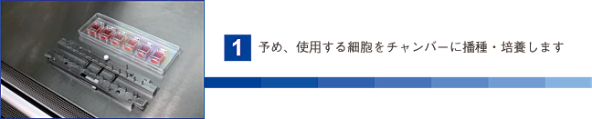 予め、使用する細胞をチャンパーに播種・培養します